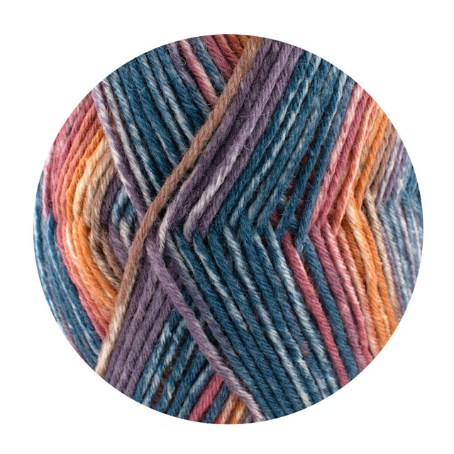 毛糸 Opal-オパール- アイスエイジ 8ply/8本撚り 11574.マンモス 06Co99j