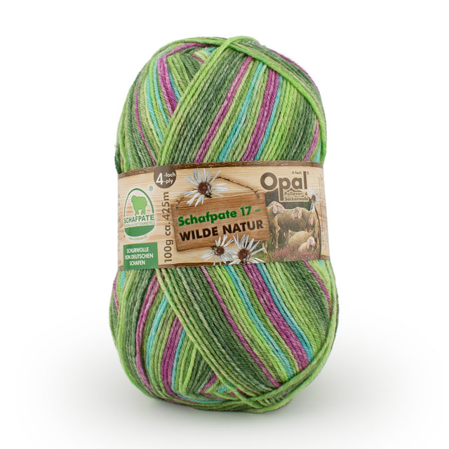 11592.どんぐりの森