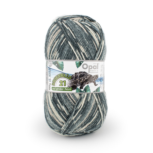 11604.ハミルトンガメ