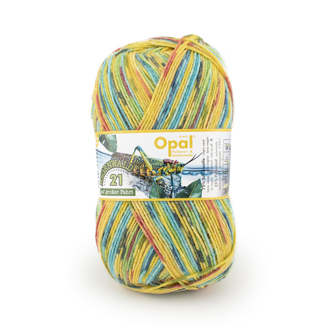 11605.トゲムネバッタ