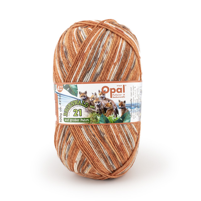 11606.キタキツネ