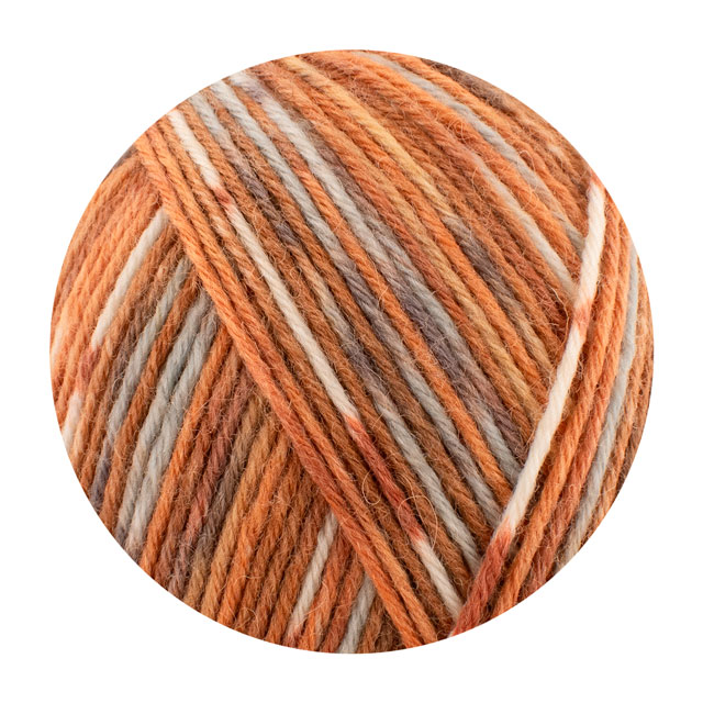 毛糸 Opal-オパール- レーゲンヴァルト21 6ply/6本撚り 11616.キタキツネ 06Co99j