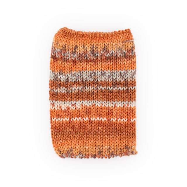 毛糸 Opal-オパール- レーゲンヴァルト21 6ply/6本撚り 11616.キタキツネ 06Co99j