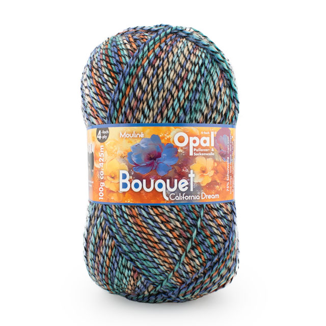 11681.カリフォルニアドリーム