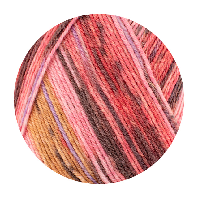 毛糸 Opal-オパール- KFS気仙沼水族館 4ply/4本撚り KFS257.ホヤ 06Co99j