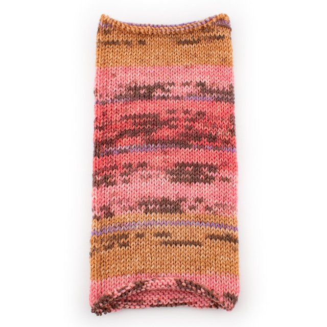 毛糸 Opal-オパール- KFS気仙沼水族館 4ply/4本撚り KFS257.ホヤ 06Co99j