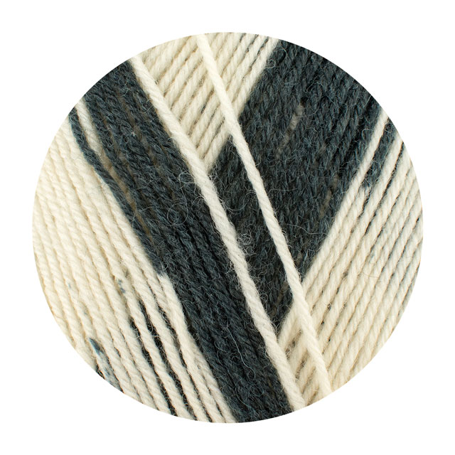 毛糸 Opal-オパール- KFS気仙沼ゼブラ 4ply/4本撚り KFS269.オスカー 06Co99j