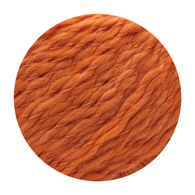 毛糸 スキー クレア 色番6404 06Co99_