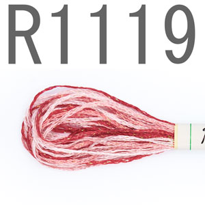 R1119