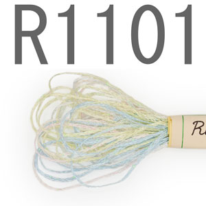 R1101