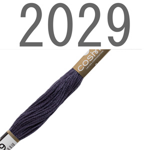 2029