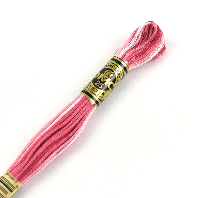 刺しゅう材料 DMC 刺繍糸 25番 グラデーション 色番48 06Bg99_