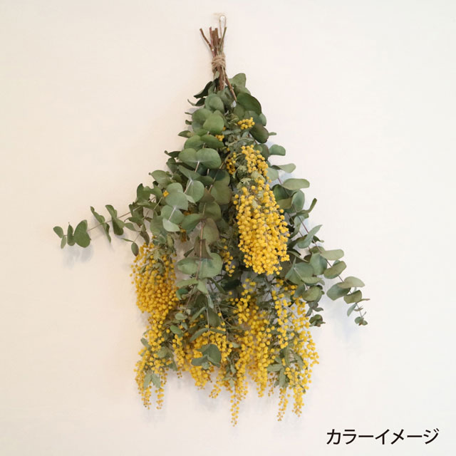 オリムパス GARDEN PARTY 刺しゅう糸 25色セット/スプール付(GP-25A) ミモザのスワッグ 99Zz99_