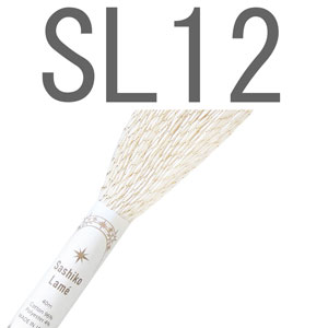 SL12.天の川