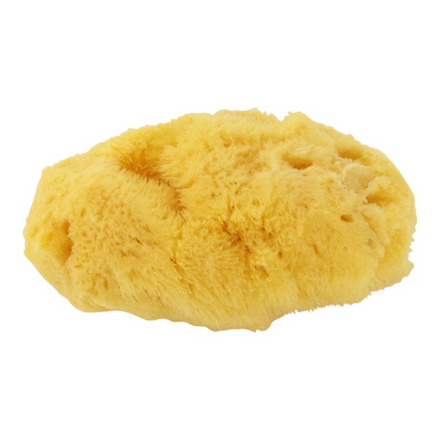 Chacott-チャコット- 海綿（098） 1個入 07Cn99j