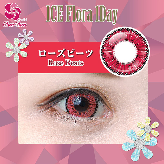 アシストシュシュ ICE Flora 1Day アイスフローラワンデー(22006) ローズビーツ 度なし 0.00 07Bk99_