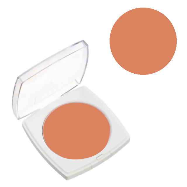 三善 フェースケーキ ミニ 6N 07Cn99_