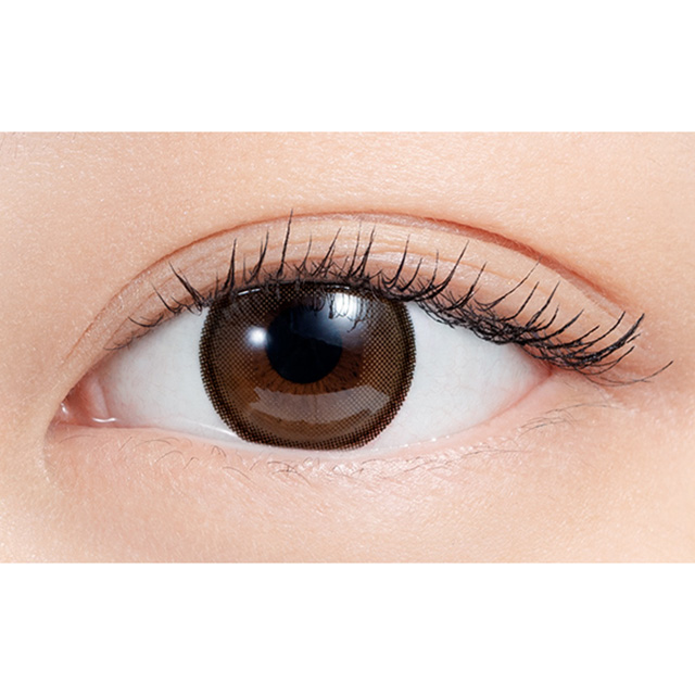 N'sCOLLECTION 1day エヌズコレクション ワンデー ホットチョコレート 度なし 0.00 07Bk99_