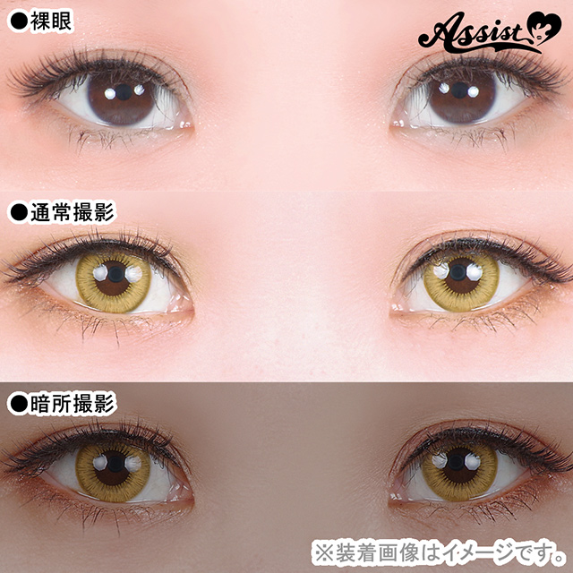 アシストシュシュ Shutella 1Day シュテラワンデー(25256) ゴッドイエロー 度なし 0.00 07Bk99_