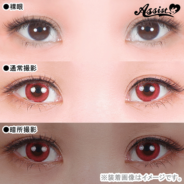 アシストシュシュ Shutella 1Day シュテラワンデー(25272) ウォーキングレッド 度なし 0.00 07Bk99_