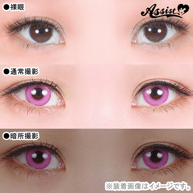 アシストシュシュ Shutella 1Day シュテラワンデー(25416) テイルピンク 度なし 0.00 07Bk99_
