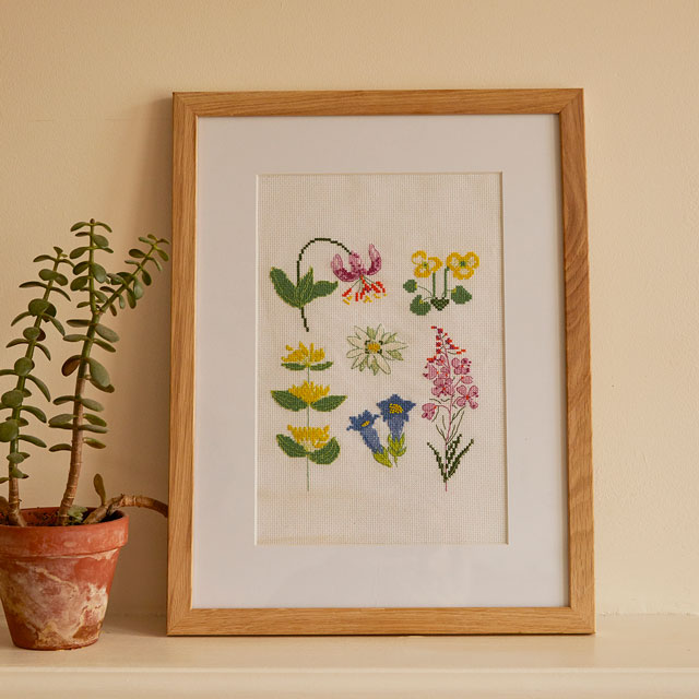 刺しゅうキット DMC メドウ・フラワー クロスステッチキット（BK1952） 06Bi99_