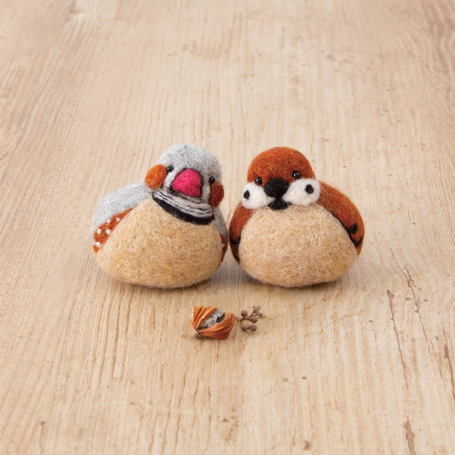 キンカチョウとすずめ