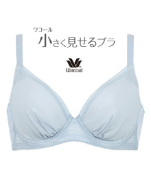 ワコール商品イメージ