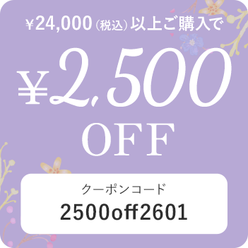 税込24,000円以上の購入で2,500円OFF